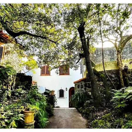 Talia Sweet Bed & Breakfast