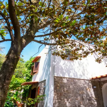 Talia Sweet Oda ve Kahvaltı Ischia